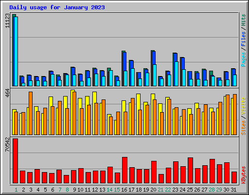 Daily usage for January 2023