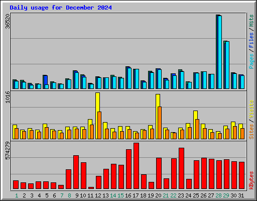 Daily usage for December 2024