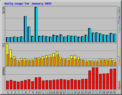 Daily usage for January 2025