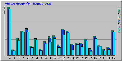 Hourly usage for August 2020