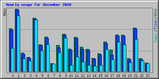 Hourly usage for December 2020