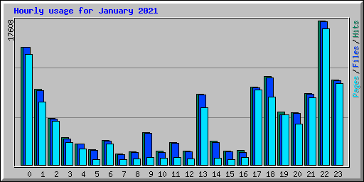 Hourly usage for January 2021