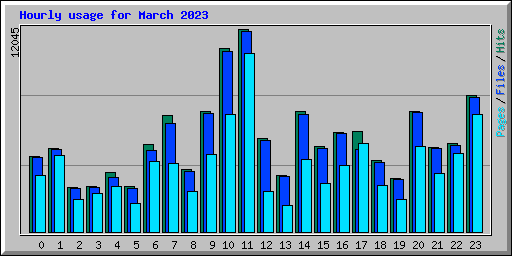 Hourly usage for March 2023