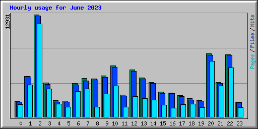 Hourly usage for June 2023