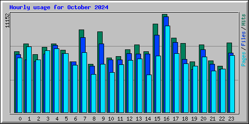 Hourly usage for October 2024