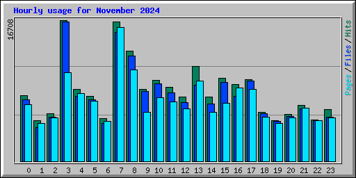 Hourly usage for November 2024