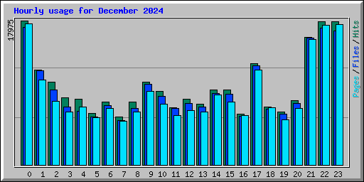 Hourly usage for December 2024