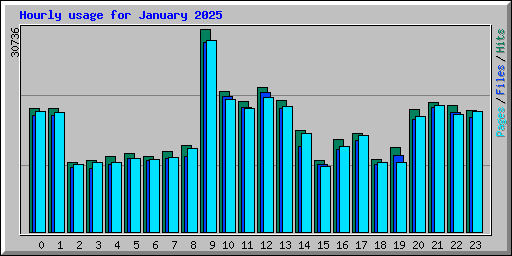 Hourly usage for January 2025