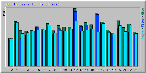 Hourly usage for March 2025