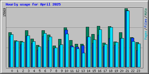 Hourly usage for April 2025