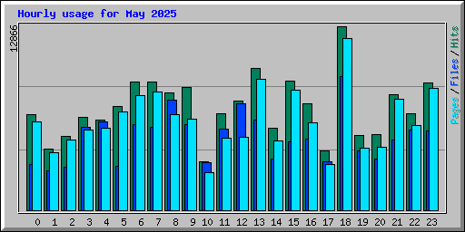 Hourly usage for May 2025