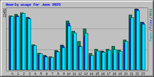 Hourly usage for June 2025