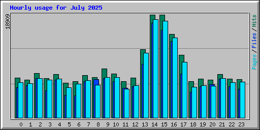 Hourly usage for July 2025