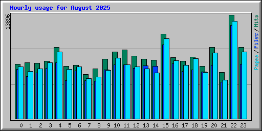 Hourly usage for August 2025