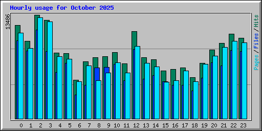 Hourly usage for October 2025