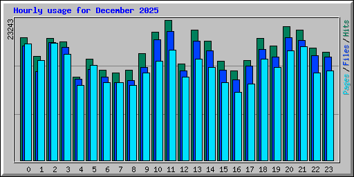 Hourly usage for December 2025