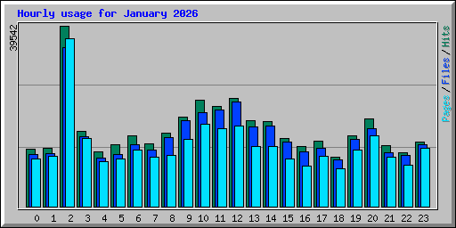 Hourly usage for January 2026