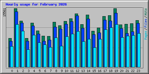 Hourly usage for February 2026