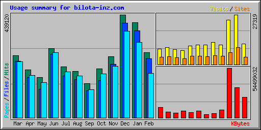 Usage summary for bilota-inz.com
